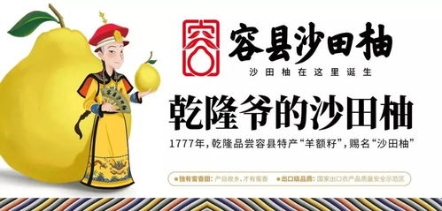 夢回唐朝楊貴妃，沙田有柚震乾隆——廣西旅游年卡與旅發(fā)旅行社集團(tuán)攜手共譜文化之旅